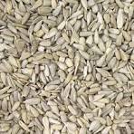 Sun Flower Seeds - 250 gms, 500 gms & 1 kg pack