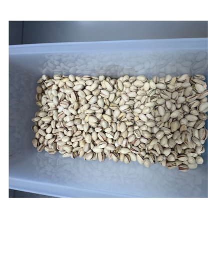 Salted Fresh Pistachios (Pista) – Premium Crunchy Snack
